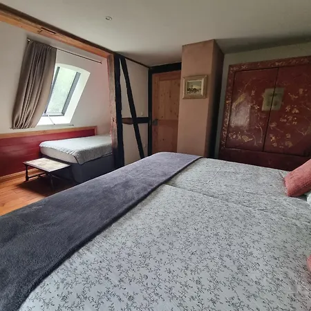 E Wassermuehle Rittergut Friedrichshausen 住宿加早餐酒店