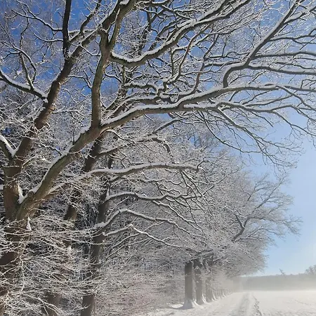 E Wassermuehle Rittergut Friedrichshausen לינה וארוחת בוקר